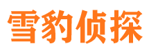 洛川市调查公司